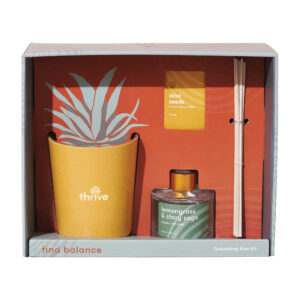Modern Sprout® Find Balance Take Care Kit - Aloe