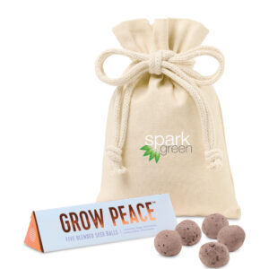 Modern Sprout® Bright Side Seed Balls
