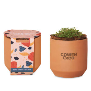 Modern Sprout® Tiny Terracotta Grow Kit Champagne Poppies