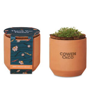 Modern Sprout® Tiny Terracotta Grow Kit Thank You Daisies